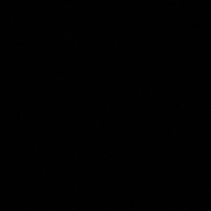 Meet your Posher, Itziar